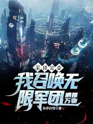 一个被出卖的杀手英文版
