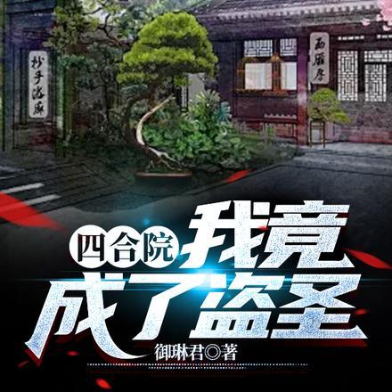 四合院：我竟成了盗圣