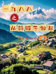 四合院农场主的美好生活作者