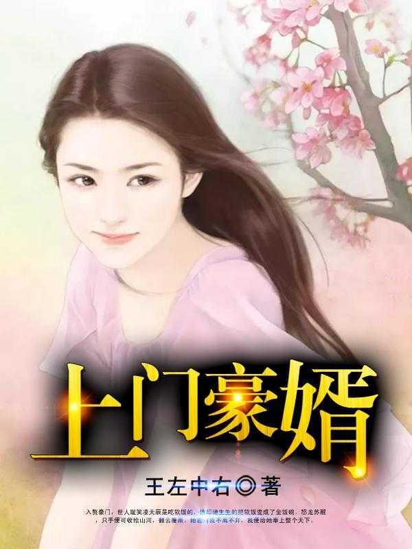 上门豪婿推荐必读