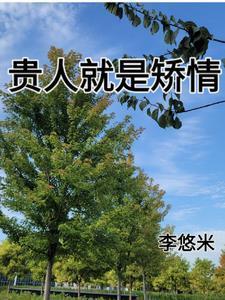被蛇蛇饲养以后有车吗