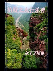 我在乱世做权臣晋江