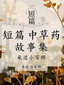 恃宠入婚免费阅读全文无弹窗