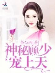 长安幻夜是什么类型的