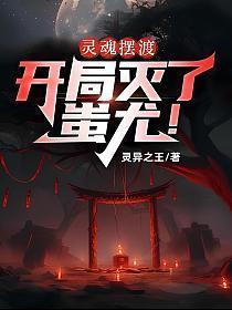 大夏第一皇子电视剧