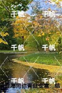 付若欢齐司恒是什么