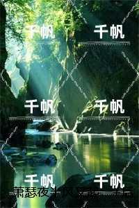 火葬场男主不干了总裁网