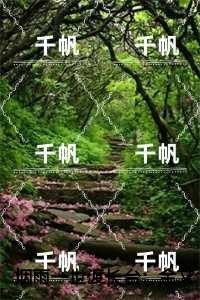 权臣掌上珠 小秦王