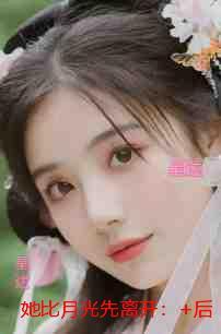 穿越四合院许大茂侄儿