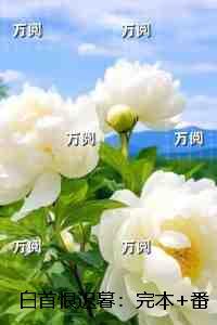 这个主持人太专业123读