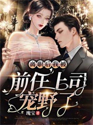 四合院：我成了娄家女婿