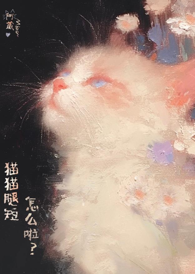 猫猫腿短怎么啦